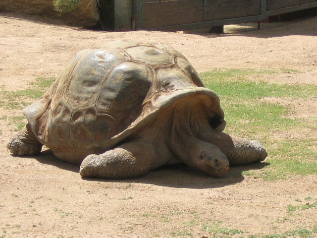 618x457 pixels (212K)